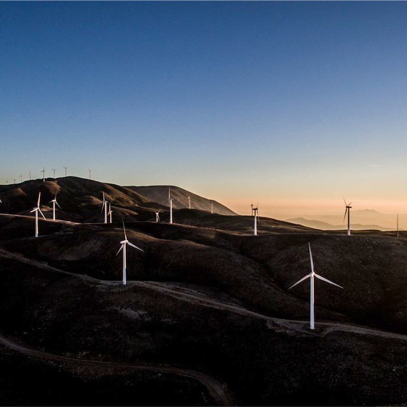 Umbraco: The Friendly CMS